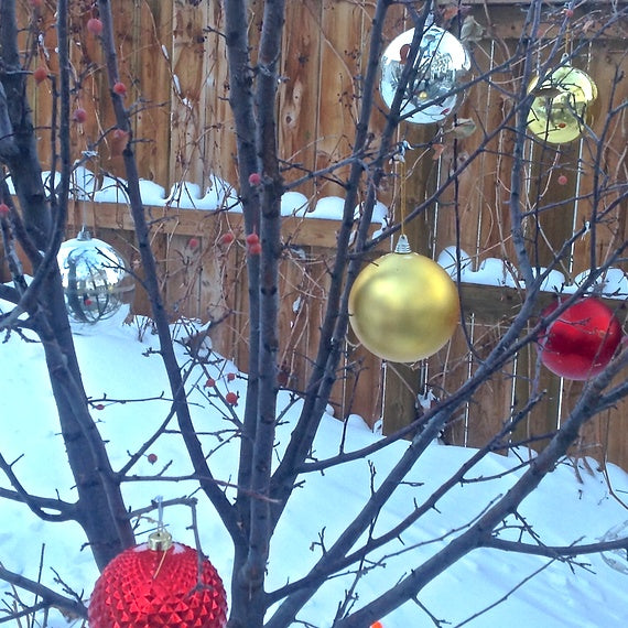 Holiday Decorating Idea: Outdoor Tree Ornaments